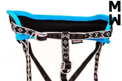 Baudrier Canicross Manmat turquoise