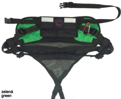 Baudrier Zero DC Speedy vert
