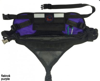Baudrier Zero DC Speedy violet