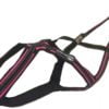 Harnais Zero DC Cross DC rose