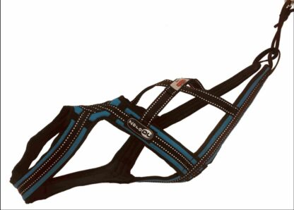 Harnais Zero DC Cross DC bleu pétrole