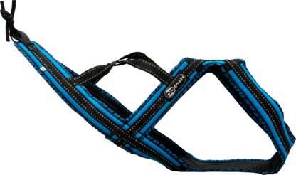 Harnais Cross DC ROYAL Turquoise ZERO DC