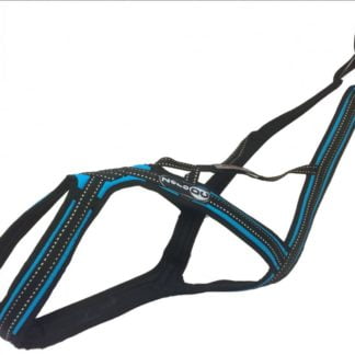 Harnais Zero DC Cross DC turquoise