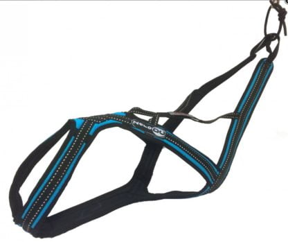 Harnais Zero DC Cross DC turquoise