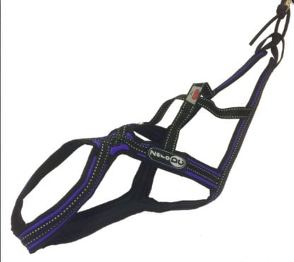 Harnais Zero DC Cross DC violet