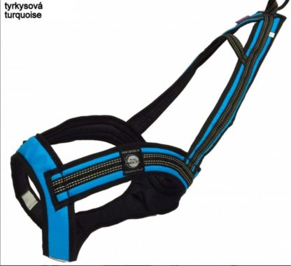 Harnais Zero DC Faster turquoise