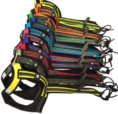 Couleurs harnais Zero DC Faster