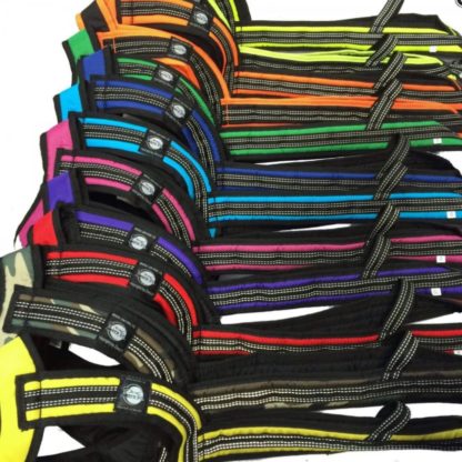 Couleurs harnais Zero DC Faster