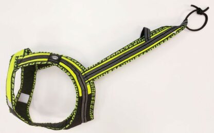 Harnais Faster Royal vert fluo