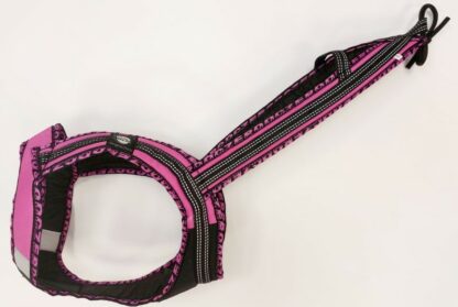 Harnais Faster Royal rose