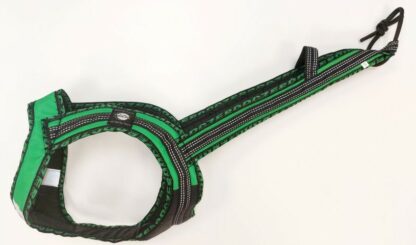Harnais Faster Royal vert