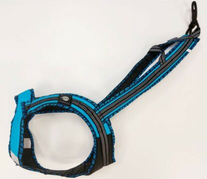 Harnais Faster Royal turquoise