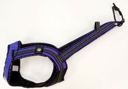 Harnais Faster Royal violet
