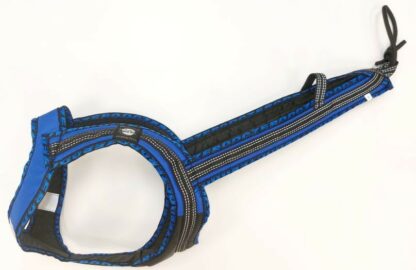 Harnais Faster Royal bleu