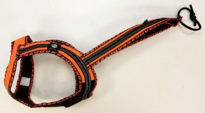 Harnais Faster Royal orange fluo