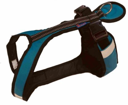 Harnais Zero DC Short bleu pétrole