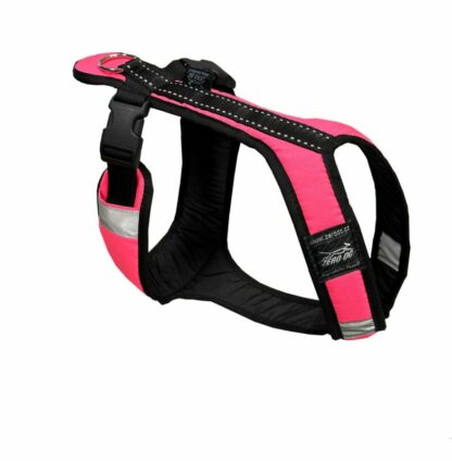 Harnais Zero DC Short rose fluo