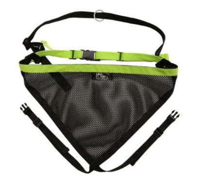 Baudrier Axaeco Skijoring Racing Belt