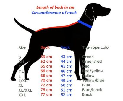 Guide des tailles harnais Axaeco XShirt