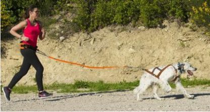 Ligne de traction I-Dog One