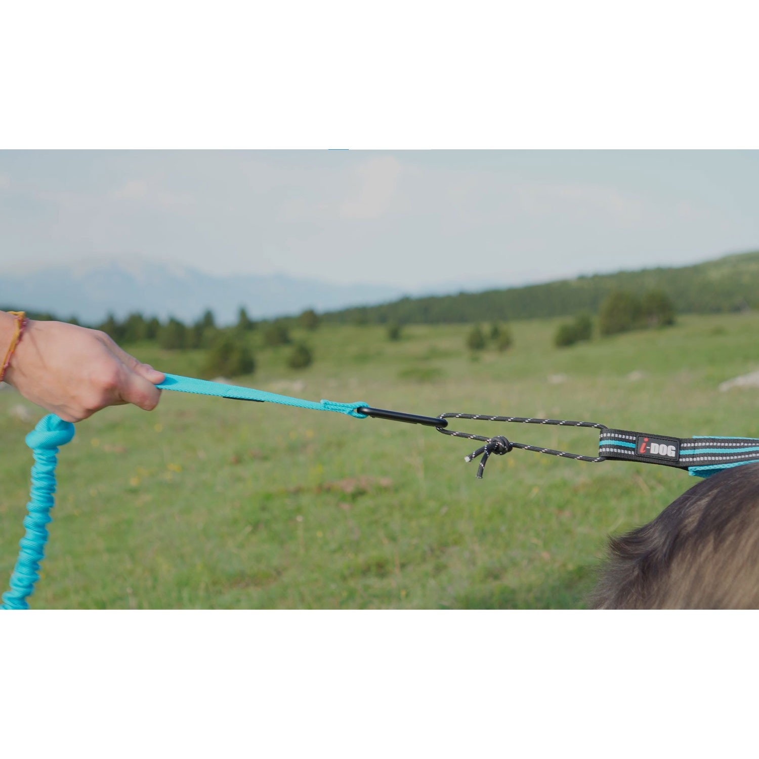 Ligne de traction I-Dog One