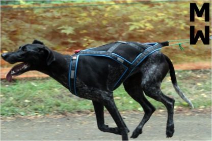 Harnais Manmat Run Long