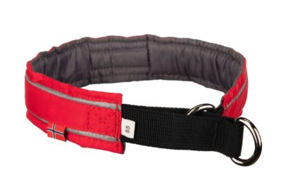 Collier Non-Stop Active Collar