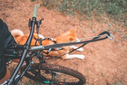 Barre de traction Non-Stop Bike Antenna