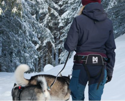 Baudrier Non-Stop Trekking Belt