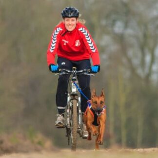 Initiation cani-VTT ou canitrottinette