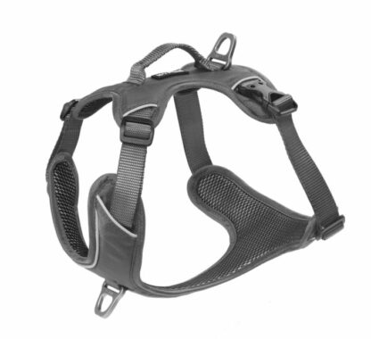 Harnais Kyflie Momentum gris