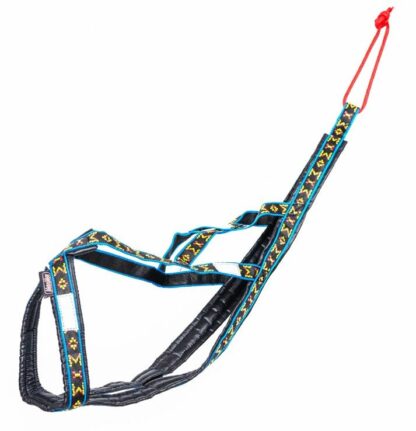 Harnais Manmat Hound bleu