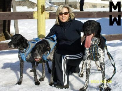 Harnais Manmat Hound bleu