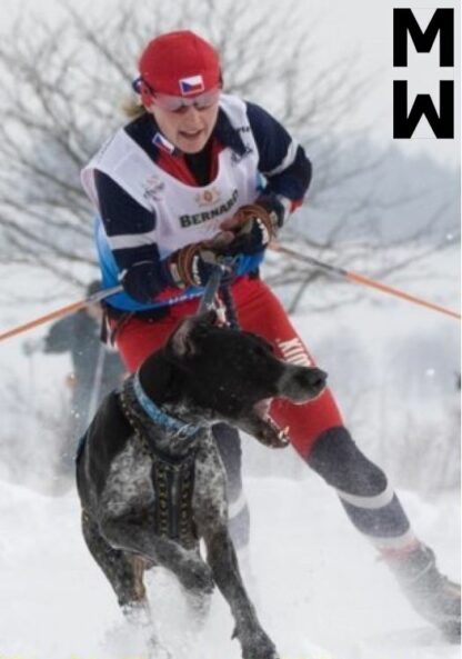 Harnais Manmat Hound bleu