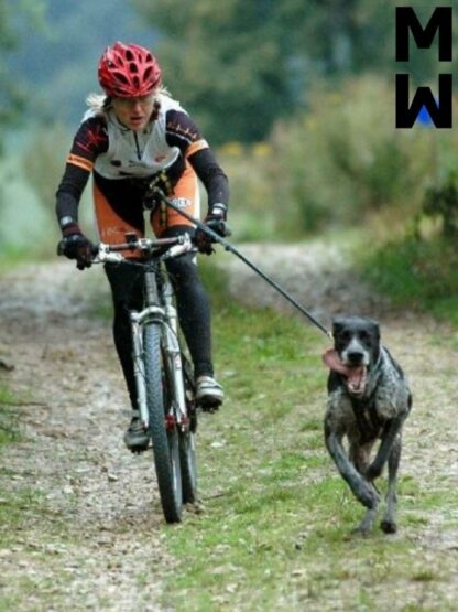 Harnais Manmat Hound bleu