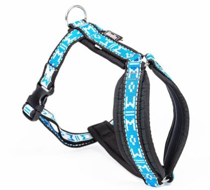 Harnais Manmat Long Distance turquoise