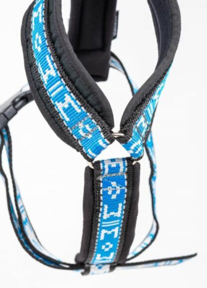 Harnais Manmat Long Distance turquoise