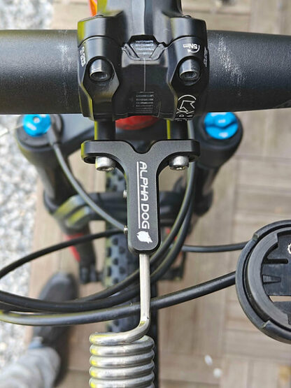 Antenne Alphadogsport