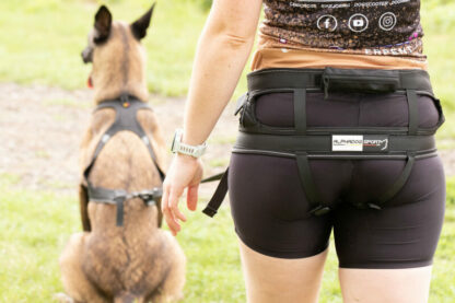 Baudrier Speed Basic ALPHADOGSPORT