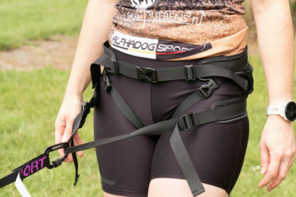 Baudrier Speed Basic ALPHADOGSPORT