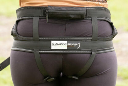 Baudrier Speed Basic ALPHADOGSPORT noir