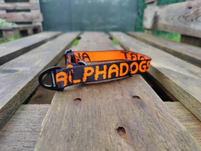 Colier Amarok Basic Semi-étrangleur ALPHADOGSPORT