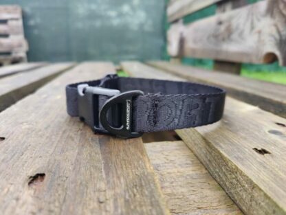 Colier Amarok Basic Clip ALPHADOGSPORT