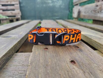 Colier Amarok Basic Clip ALPHADOGSPORT