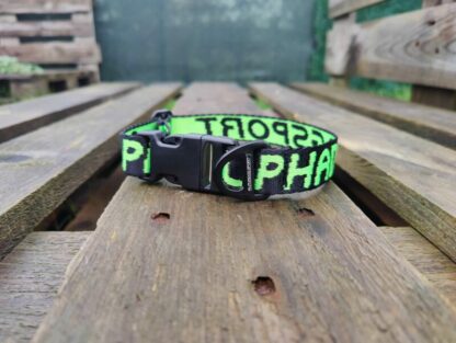 Colier Amarok Basic Clip ALPHADOGSPORT