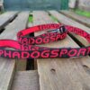 Laisse Amarok Basic ALPHADOGSPORT