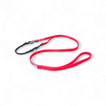 Ligne de trait Pro+ ALPHADOGSPORT – Image 16