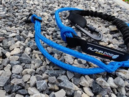 Ligne de trait Pro Alphadogsport bleue