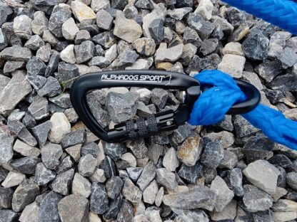Ligne de trait Pro Alphadogsport bleue