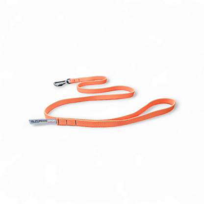 Ligne de trait Pro+ ALPHADOGSPORT – Image 13